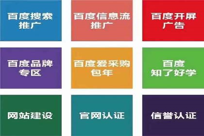某公司信息流广告的精准投放与效果评估